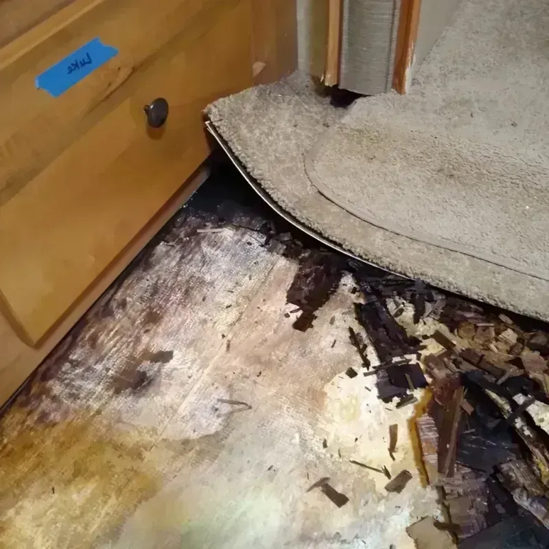 Wood Floor Water Damage in Collins, MS